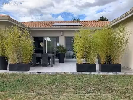grande maison à louer le teich