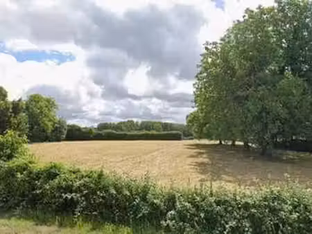 vente terrain à la réorthe (85210) : à vendre / la réorthe