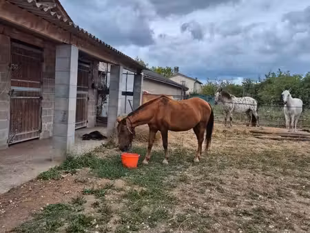 structure equestre + maison