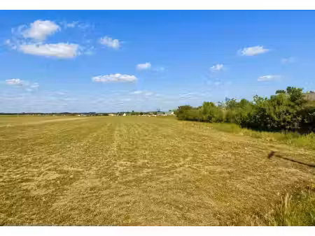 vente terrain 593 m² à sainte-maure-de-touraine (37800)  50 000 €