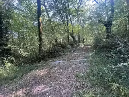 vente terrain à bérenx (64300)  55 000 €