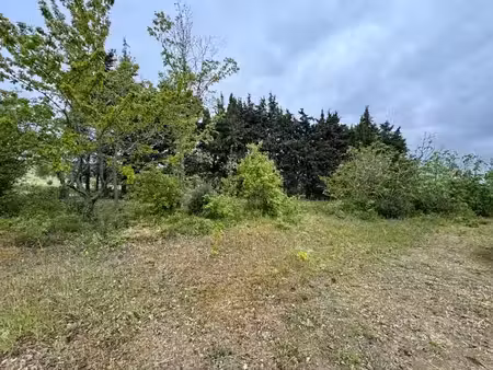 vente terrain 1956 m² à la cassaigne (11270)  56 000 €
