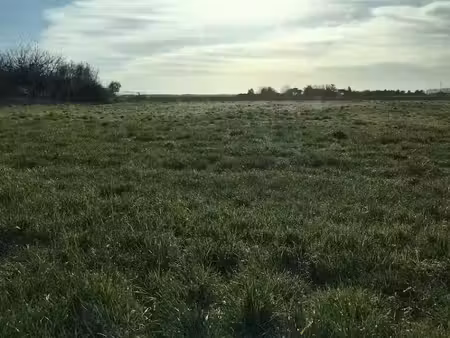 vente terrain 2300 m² à bouglon (47250)  57 000 €