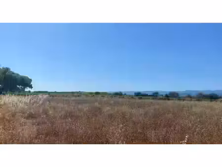 vente terrain 400 m² à olonzac (34210)  65 000 €