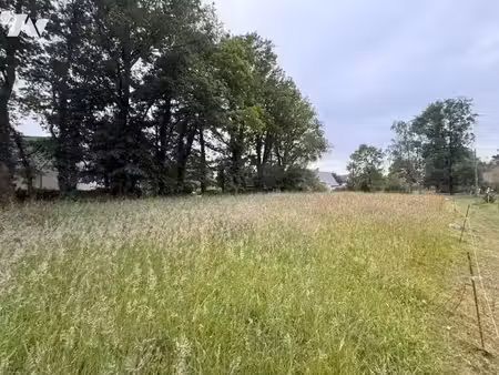 vente terrain à batir 1371 m² à questembert (56230)  66 566 €