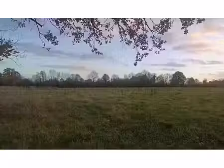 vente terrain 846 m² à saint-philbert-des-champs (14130)  75 000 €