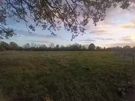 vente terrain 850 m² à saint-philbert-des-champs (14130)  75 000 €
