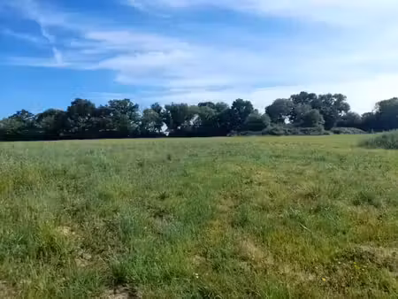 vente terrain 473 m² à pont-l'eveque (14130)  75 000 €