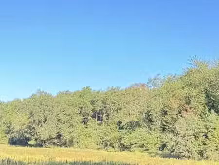 vente terrain à moulins-sur-tardoire (16220) : à vendre / 69661m² moulins-sur-tardoire
