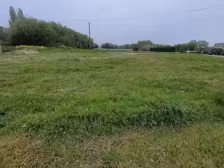vente terrain 415 m² à cancale (35260)  185 000 €