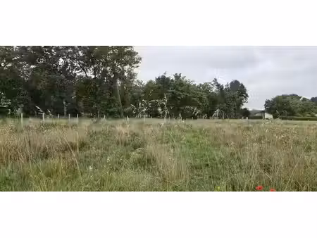 vente terrain 520 m² à parentis-en-born (40160)  115 000 €