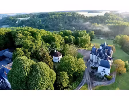château à vendre dans le quartier grammont