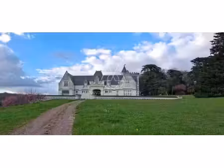 château à vendre à chinon