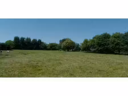 vente terrain 2369 m² à saint-ouen-le-pin (14340)  98 000 €