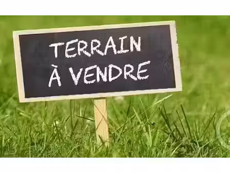 vente terrain à batir 4968 m² à sainte-foy (85150)  100 000 €