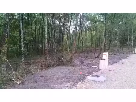 vente terrain 646 m² à lugos (33830)  117 900 €