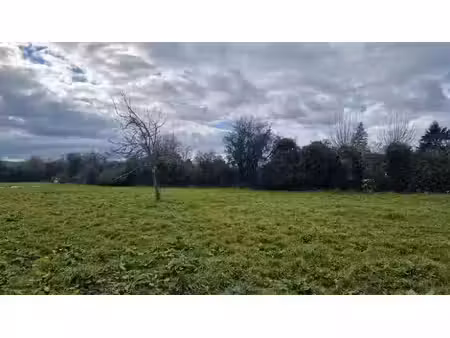 vente terrain 1240 m² à saint-martin-aux-chartrains (14130)  130 000 €