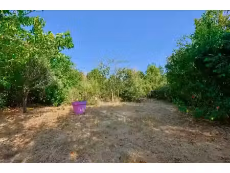 vente terrain 184 m² à sollies-pont (83210)  140 000 €