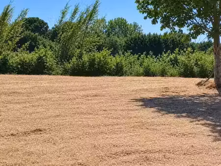 vente terrain 600 m² à arles (13200)  142 000 €