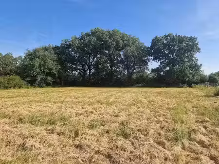 vente terrain 1520 m² à pujaudran (32600)  180 000 €