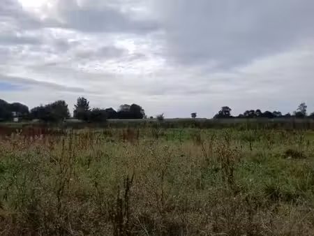 vente terrain 1200 m² à gonneville-en-auge (14810)  174 000 €