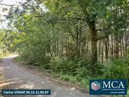 vente terrain 508 m² à sanguinet (40460)  182 000 €