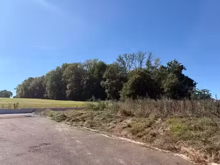 vente terrain 642 m² à wentzwiller (68220)  200 000 €