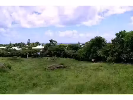 vente terrain à batir 3000 m² à saint-françois (97118)  640 000 €