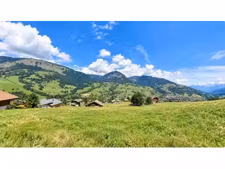 vente terrain 888 m² à praz-sur-arly (74120)  520 000 €