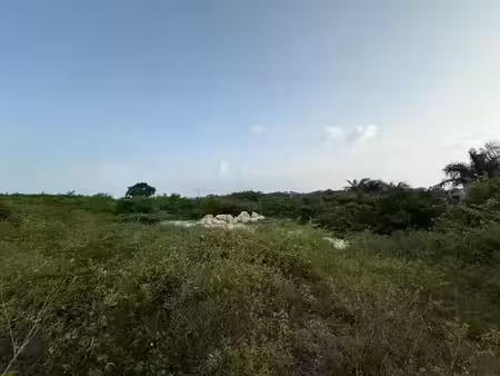 vente terrain 1137 m² à saint-françois (97118)  420 000 €