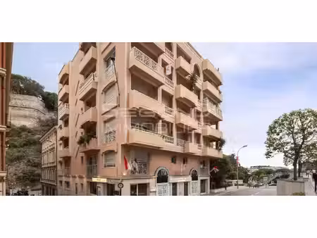 appartement avec terrasse monaco (98)