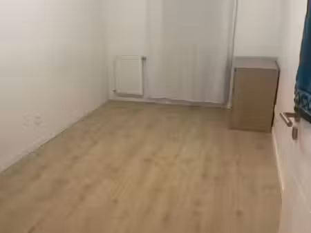 location appartement 3 pièces 70 m² à villeurbanne (69100)  695 €