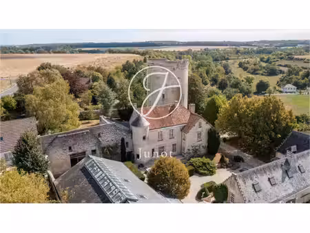 manoir à vendre à droizy
