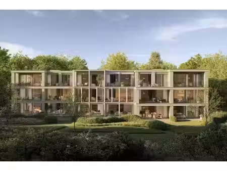 huyze verde