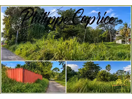 terrain 2 370 m² – dumaine – le françois – zone u5