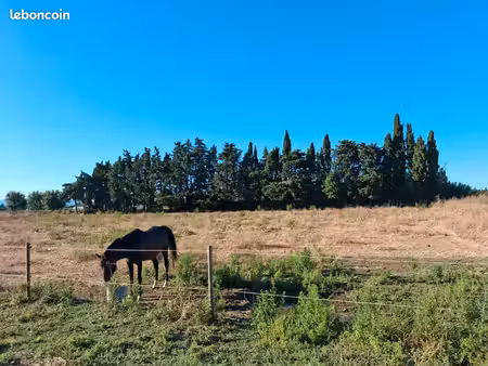 loue terrain chevaux
