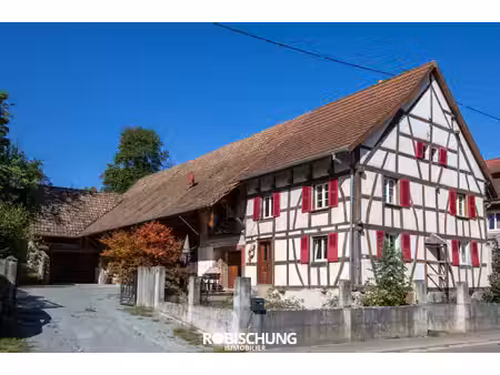 ueberstrass une maison alsacienne  un grand terrain et de