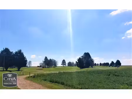 terrain