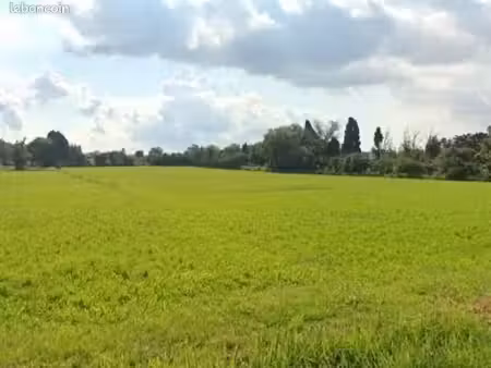 terrain 842 m² saint martin de crau