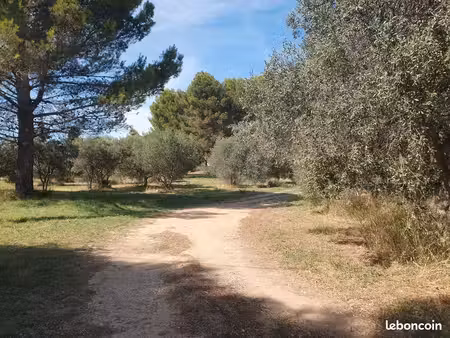 terrain 601 m² saint chamas