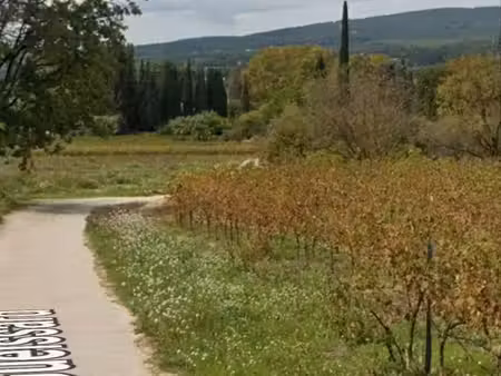 vignes aop cotes de provence