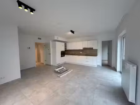 spécieux et lumineux appart 1 chambre - rdc