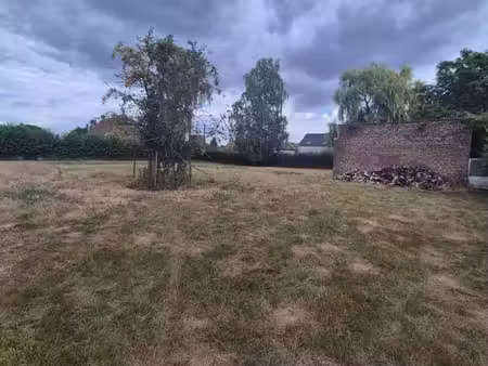 terrain
