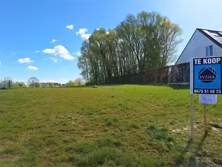 terrain