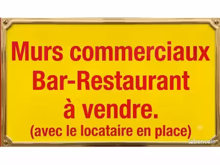 bar-restaurant à vendre gerland« murs commerciaux »
