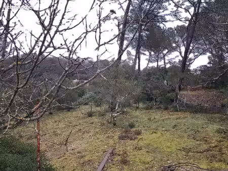 terrain 1 000 m² gareoult