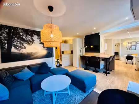 appartement studio 46m2 meublé au coeur de pontarlier