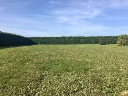 terrain constructible neuf à vendre