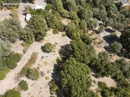 terrain 5579 m² olmeta di capocorso