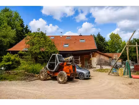 maison (2 logements) neuvecelle 11 pièce(s) 309.6 m² + annexes 179m² et terrain 4383m²